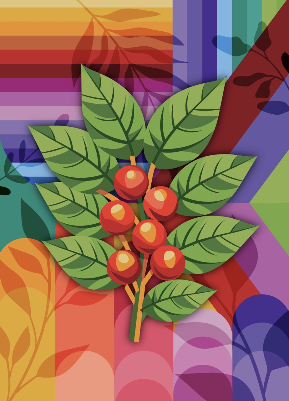 Illustration de branche de café en blocs de couleur (variante)