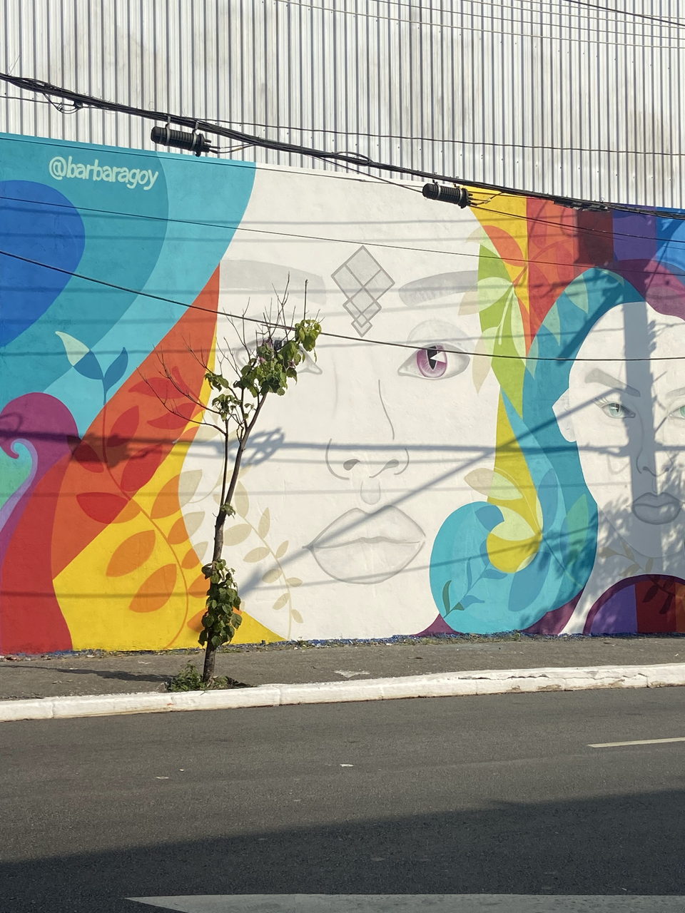 Detalle del mural de la Mooca: rostro femenino y firma @barbaragoy